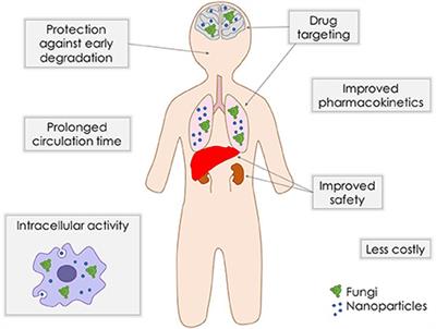 Antifungal Therapy for Systemic Mycosis and the Nanobiotechnology Era: Improving Efficacy, Biodistribution and Toxicity